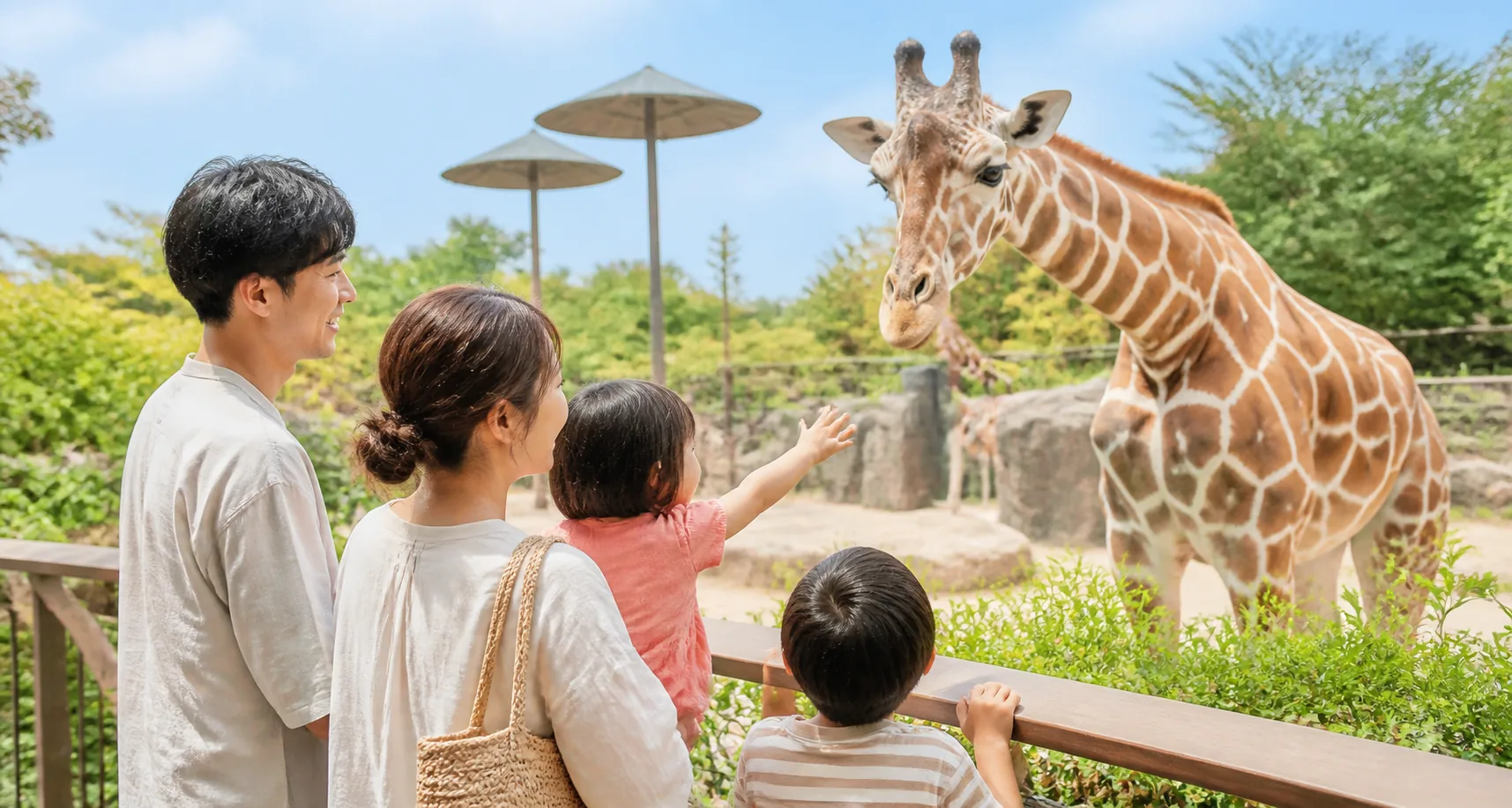 家人在沖繩動物園看長頸鹿